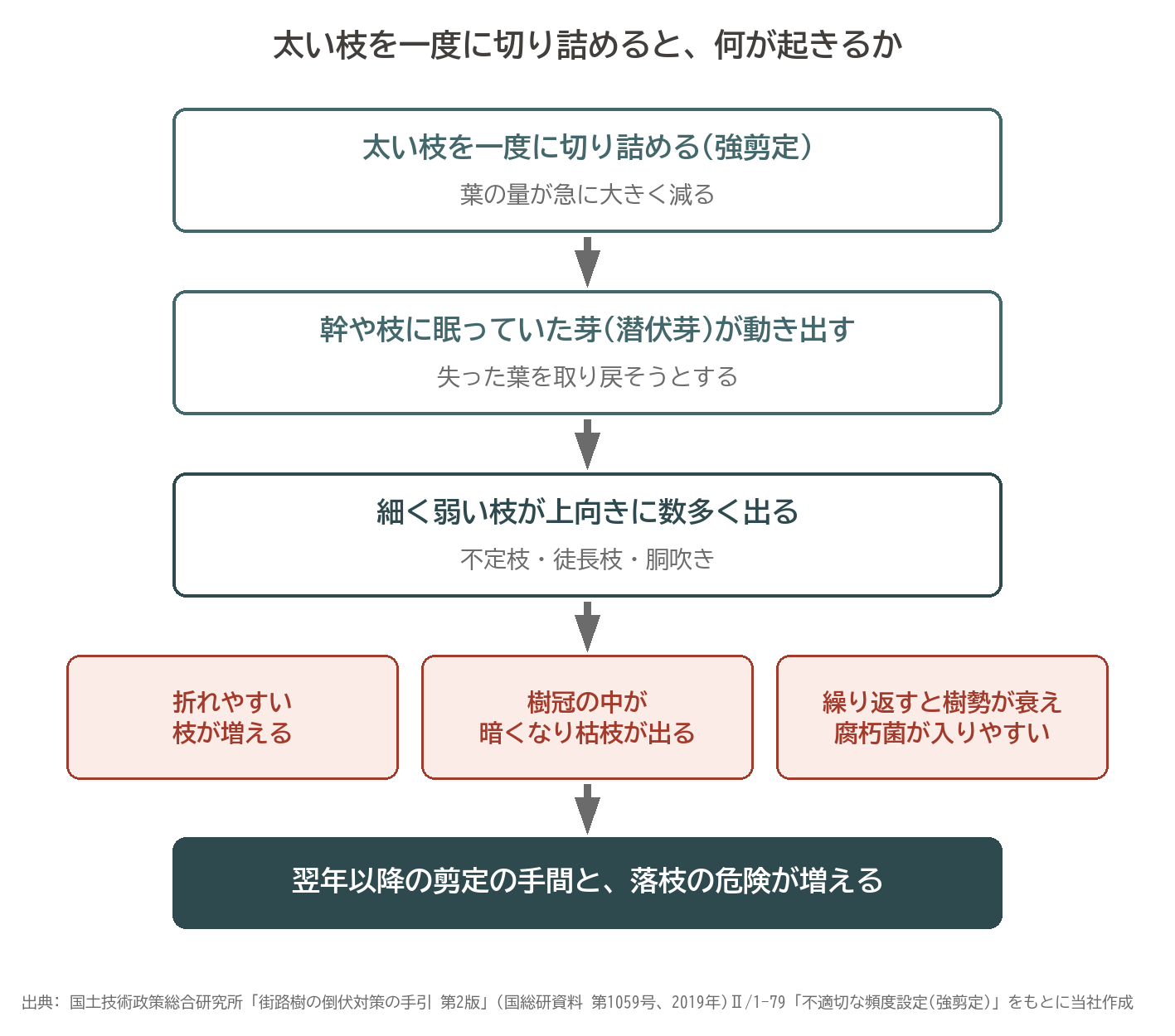 強剪定 徒長枝 胴吹き 潜伏芽 不定枝 落枝 手間 樹勢 図解