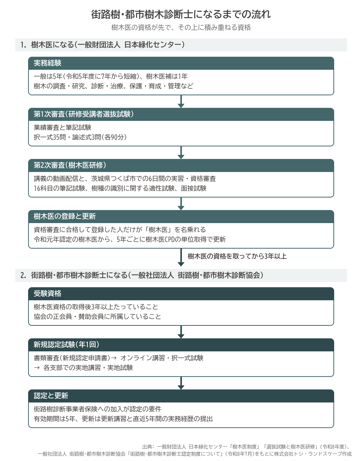 樹木医になるまでの流れ 実務経験 第1次審査 選抜試験 第2次審査 樹木医研修 登録と更新 街路樹･都市樹木診断士