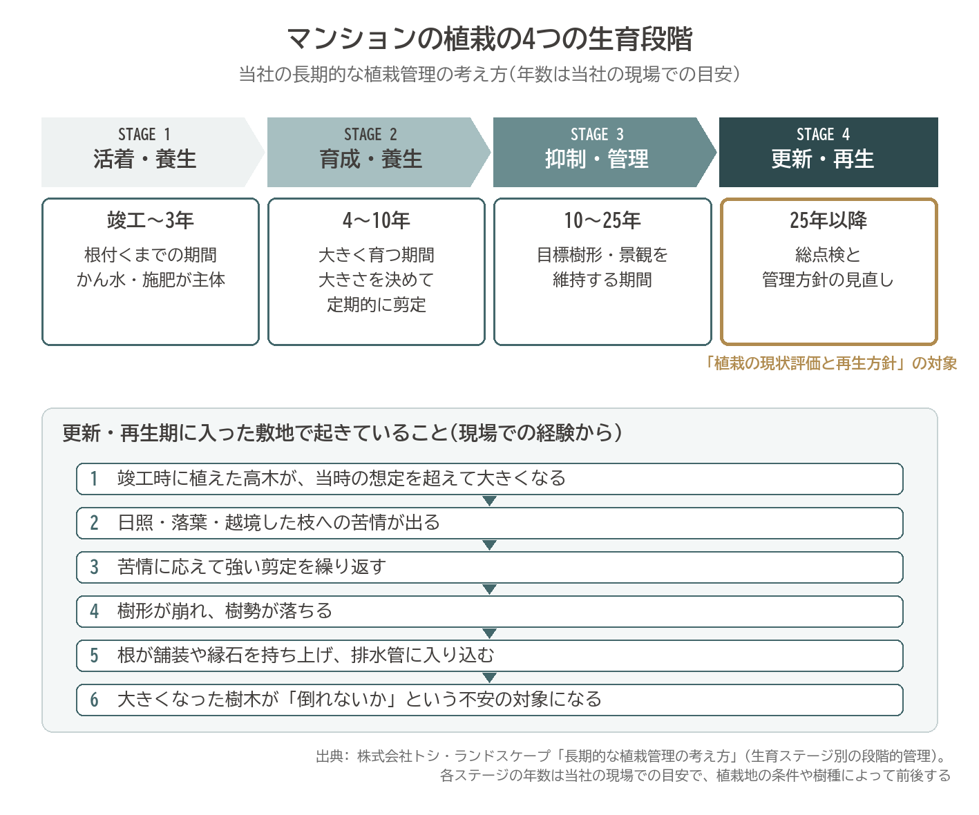 マンション 植栽 生育段階 活着・養生 育成・養生 抑制・管理 更新・再生 竣工 25年 図