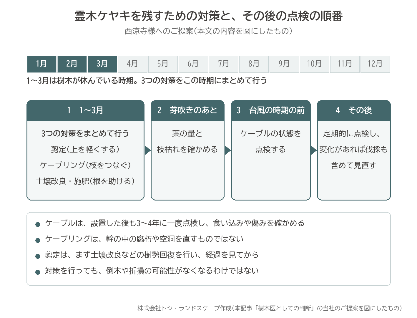 ケヤキ 霊木 対策 剪定 ケーブリング 土壌改良 1月 3月 芽吹き 台風 ケーブル点検 定期点検 図解