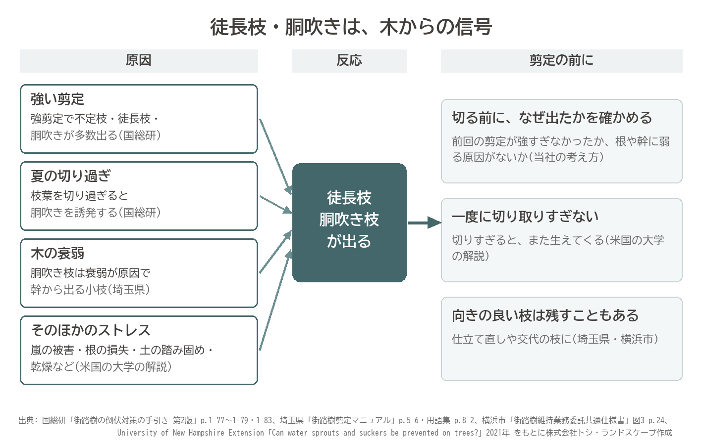 徒長枝 胴吹き 原因 強剪定 夏の切り過ぎ 衰弱 ストレス 剪定の前に 図