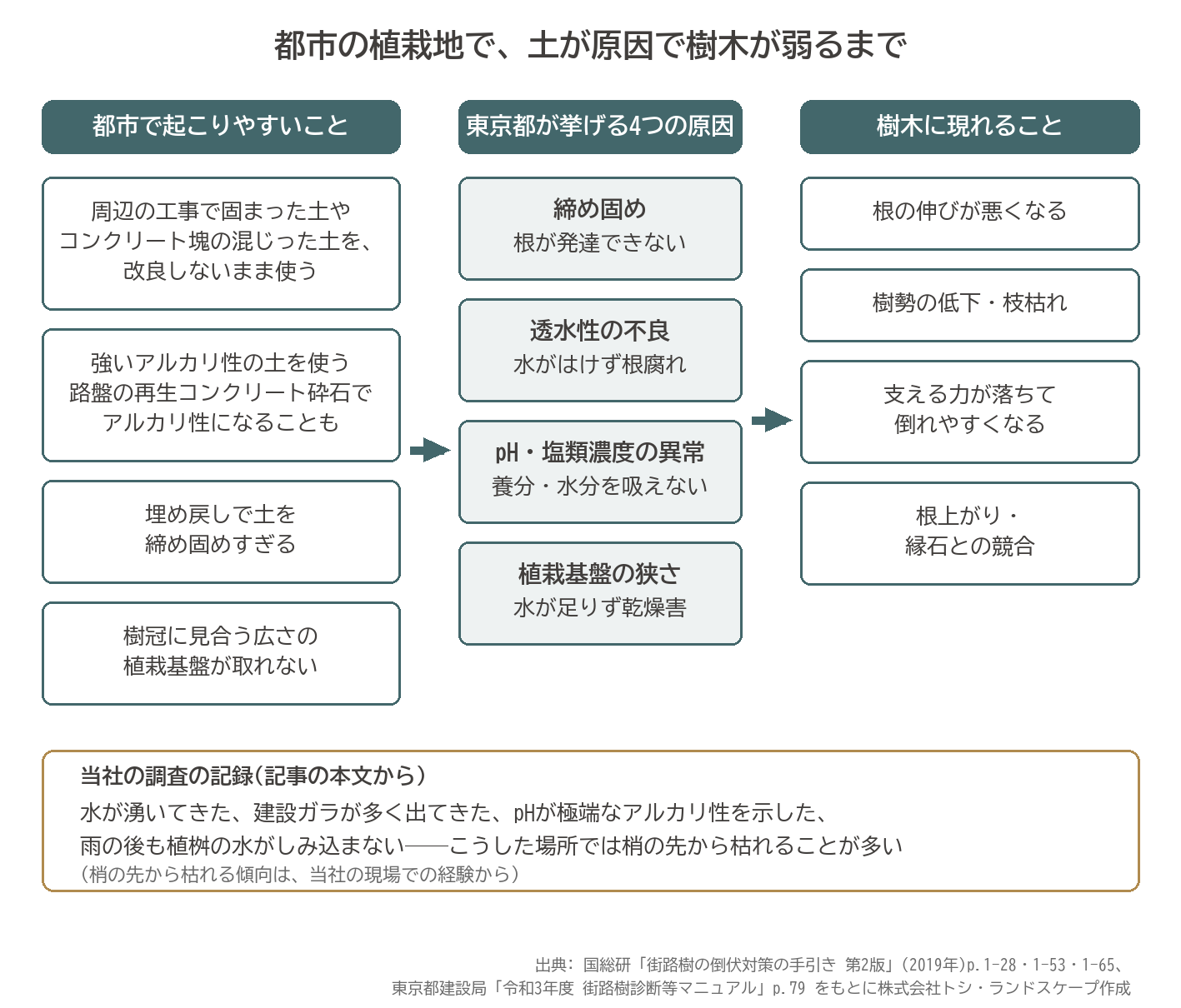 都市 植栽地 土壌 締め固め 透水性 pH 塩類 植栽基盤 狭さ 樹勢低下 枝枯れ 倒伏 根上がり 図