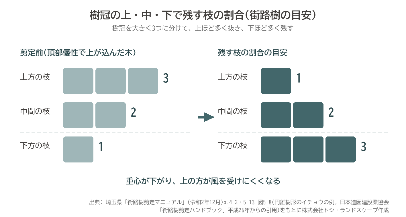 頂部優性 残す枝の割合 上1 中2 下3 自然風剪定 図