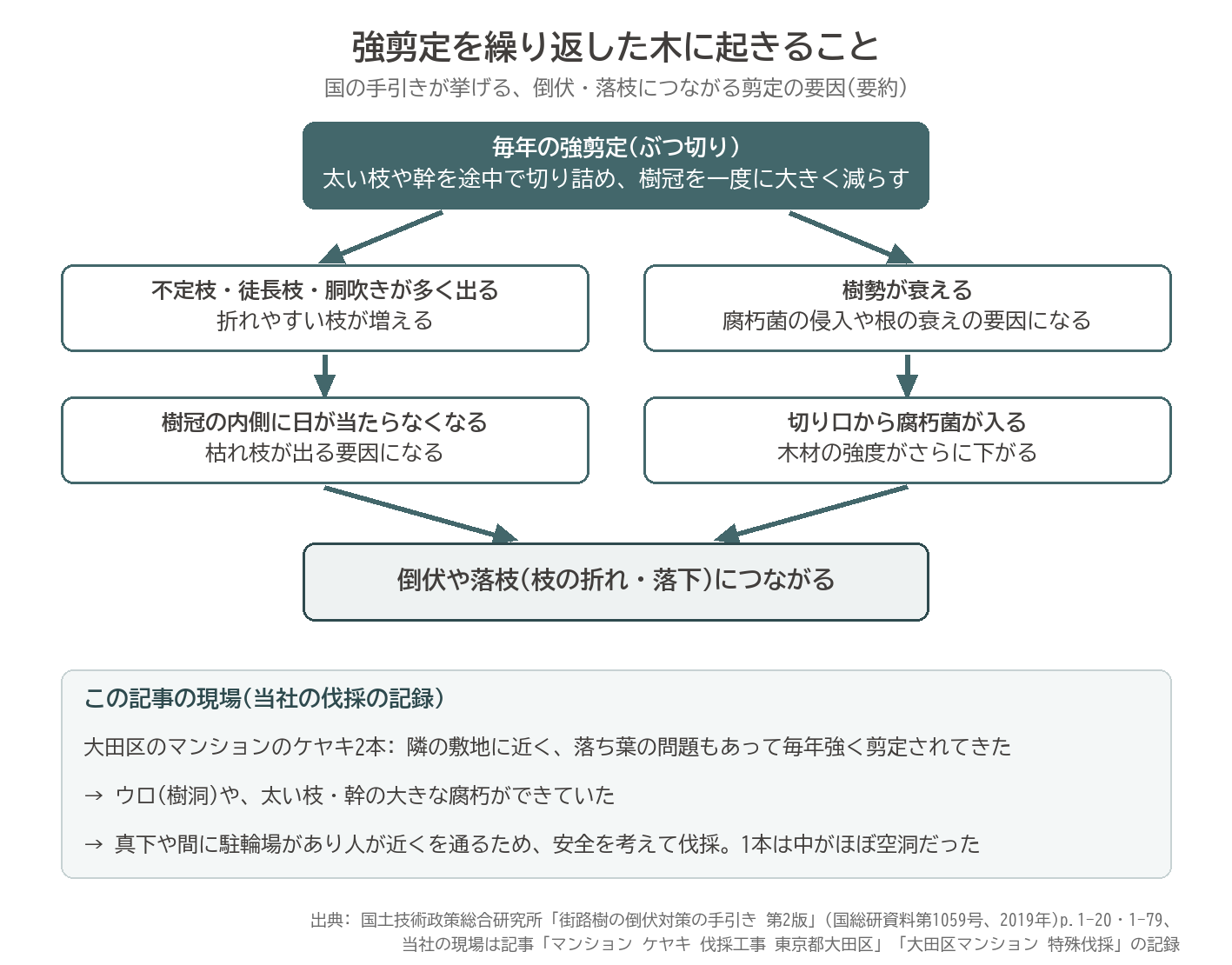 強剪定 繰り返し 不定枝 腐朽 空洞 倒木 流れ 図