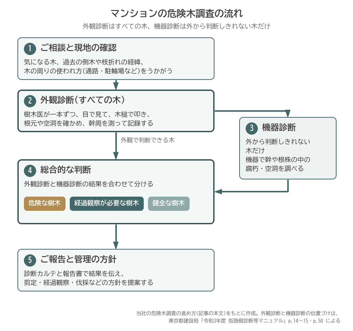 マンション 危険木調査 流れ 外観診断 機器診断 総合的な判断 危険な樹木 経過観察 健全な樹木 報告 図解