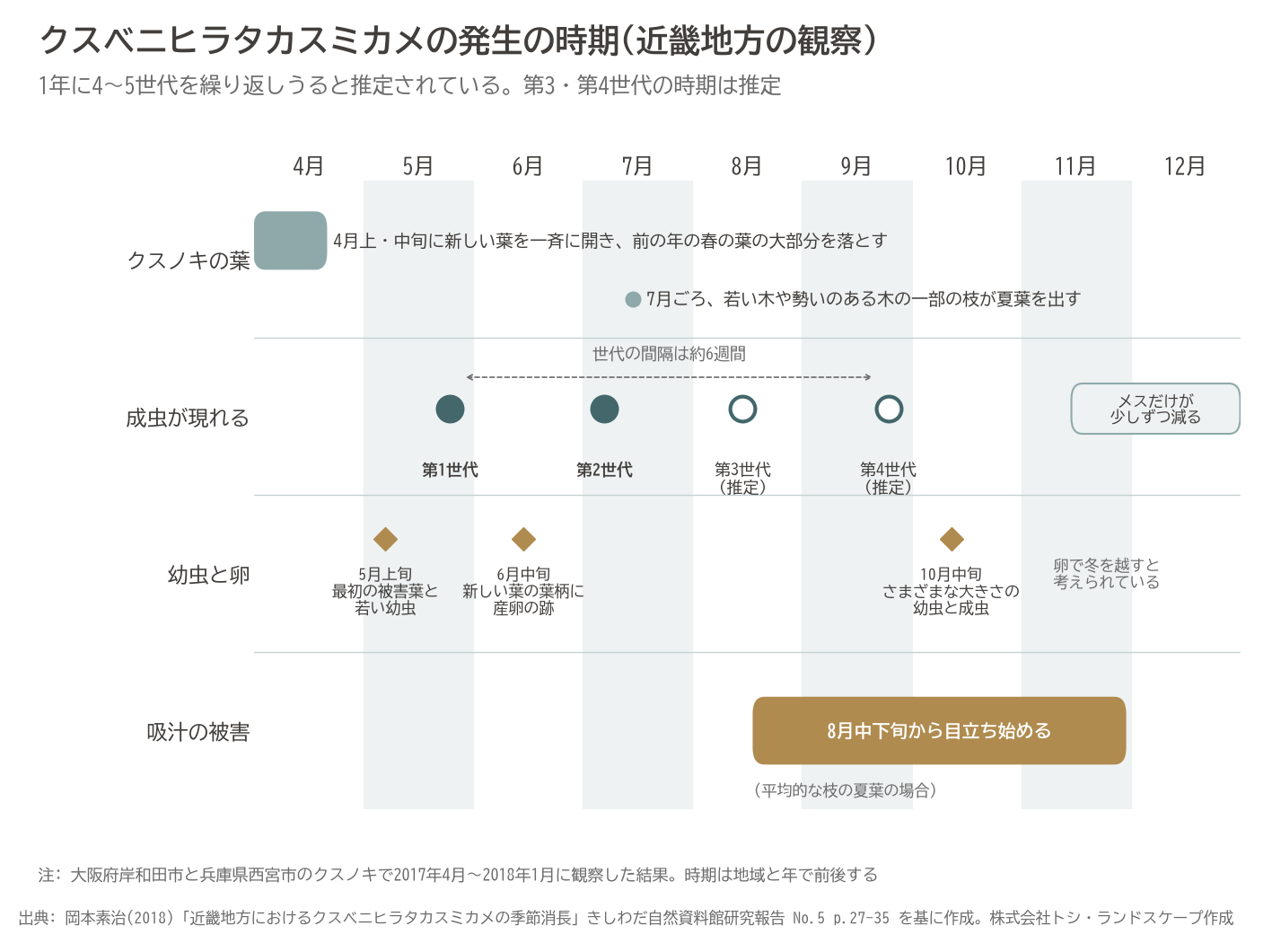 クスベニヒラタカスミカメ 発生時期 世代 成虫 幼虫 産卵 クスノキ 年間 図