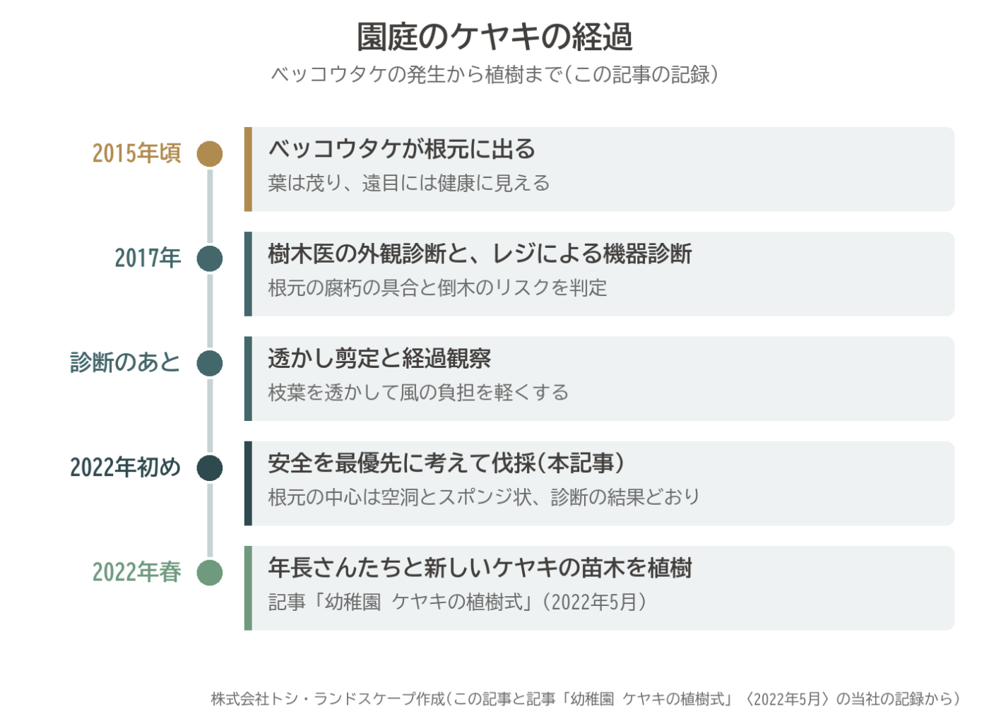 ケヤキ 伐採 植樹 経過 年表 ベッコウタケ 幼稚園 渋谷区