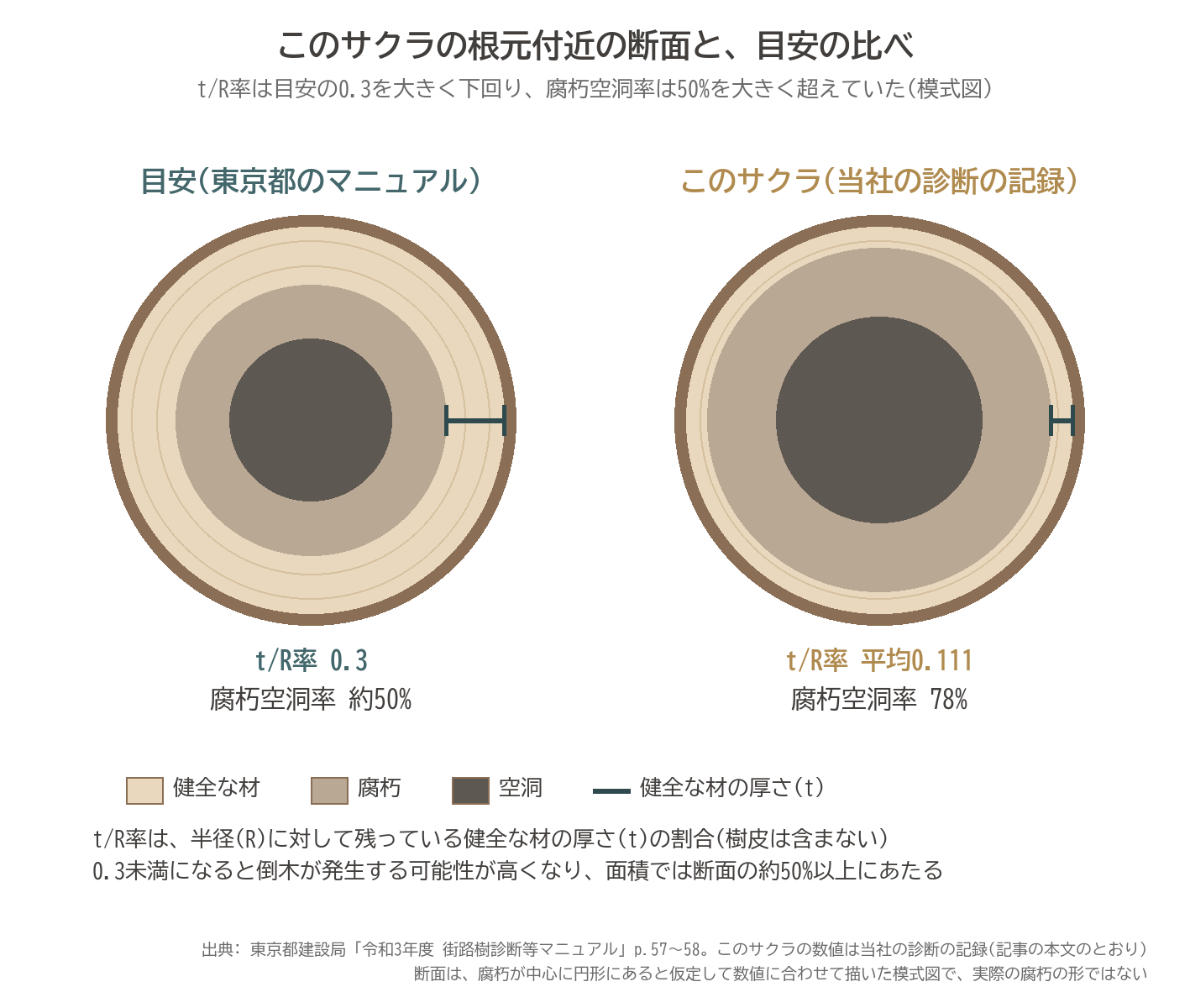 サクラ ソメイヨシノ 腐朽空洞率 78% t/R率 0.111 目安 0.3 50% 断面 模式図 ベッコウタケ