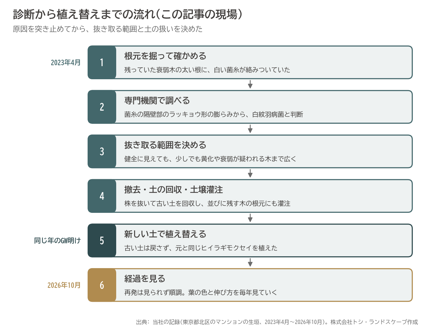 白紋羽病 診断 専門機関 抜き取り 土の入れ替え 土壌灌注 植え替え ヒイラギモクセイ 流れ 図