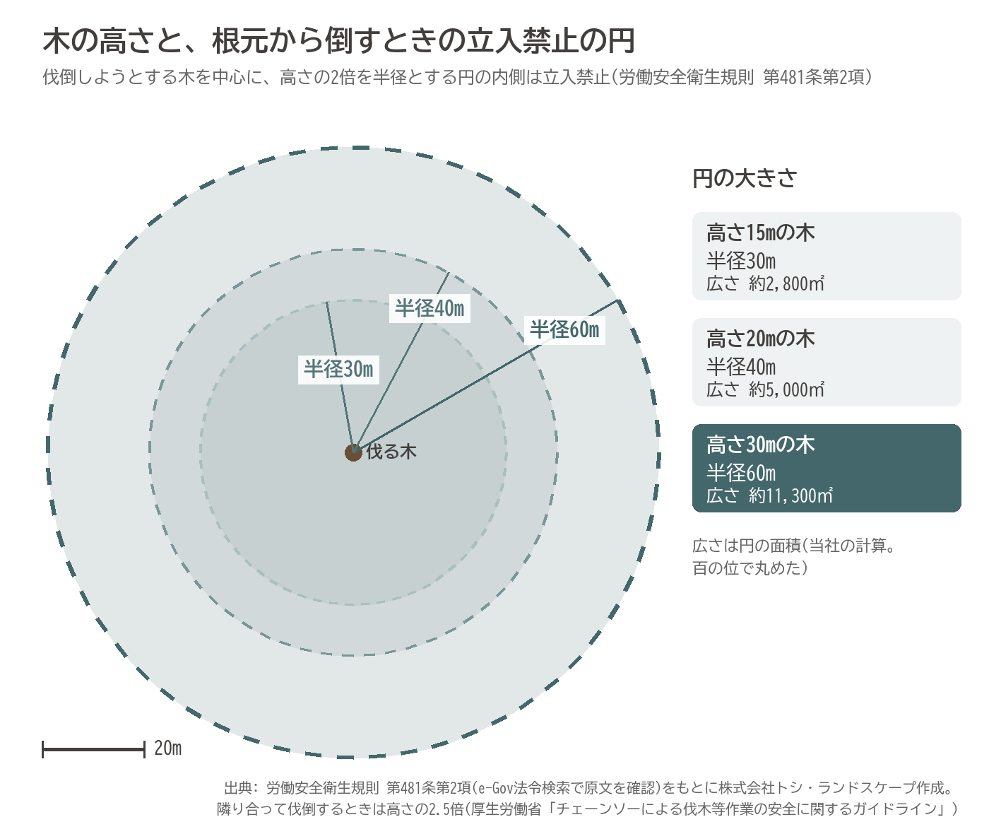 伐倒 立入禁止 半径 樹高30m 労働安全衛生規則 特殊伐採