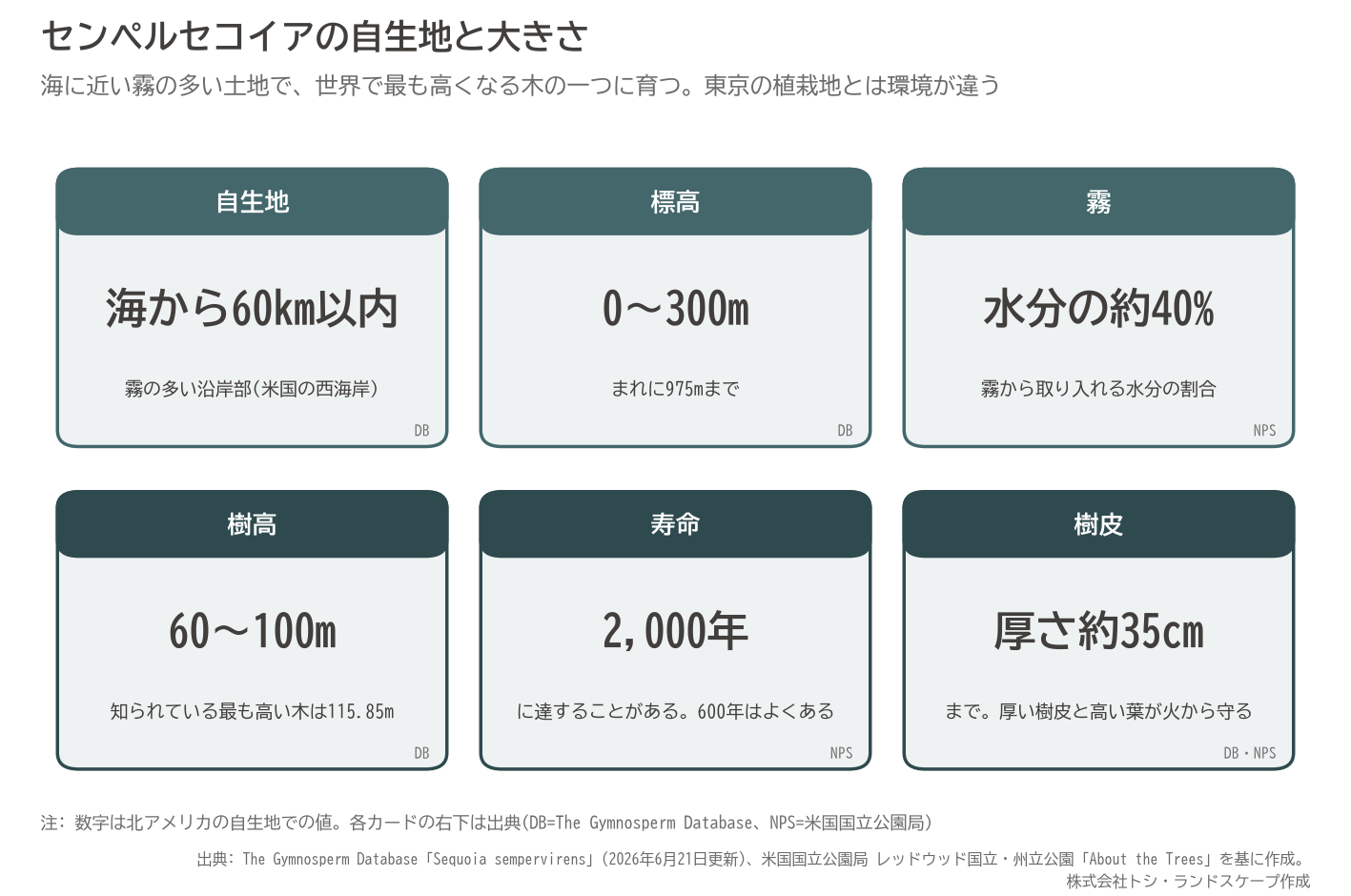 センペルセコイア 自生地 霧 標高 樹高 寿命 樹皮 コーストレッドウッド 数字 図