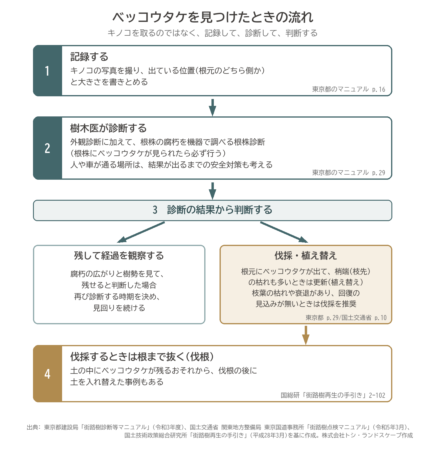 ベッコウタケを見つけたときの流れ 記録 外観診断と根株診断 経過観察か伐採植え替えかの判断 伐根と土の入れ替え 図