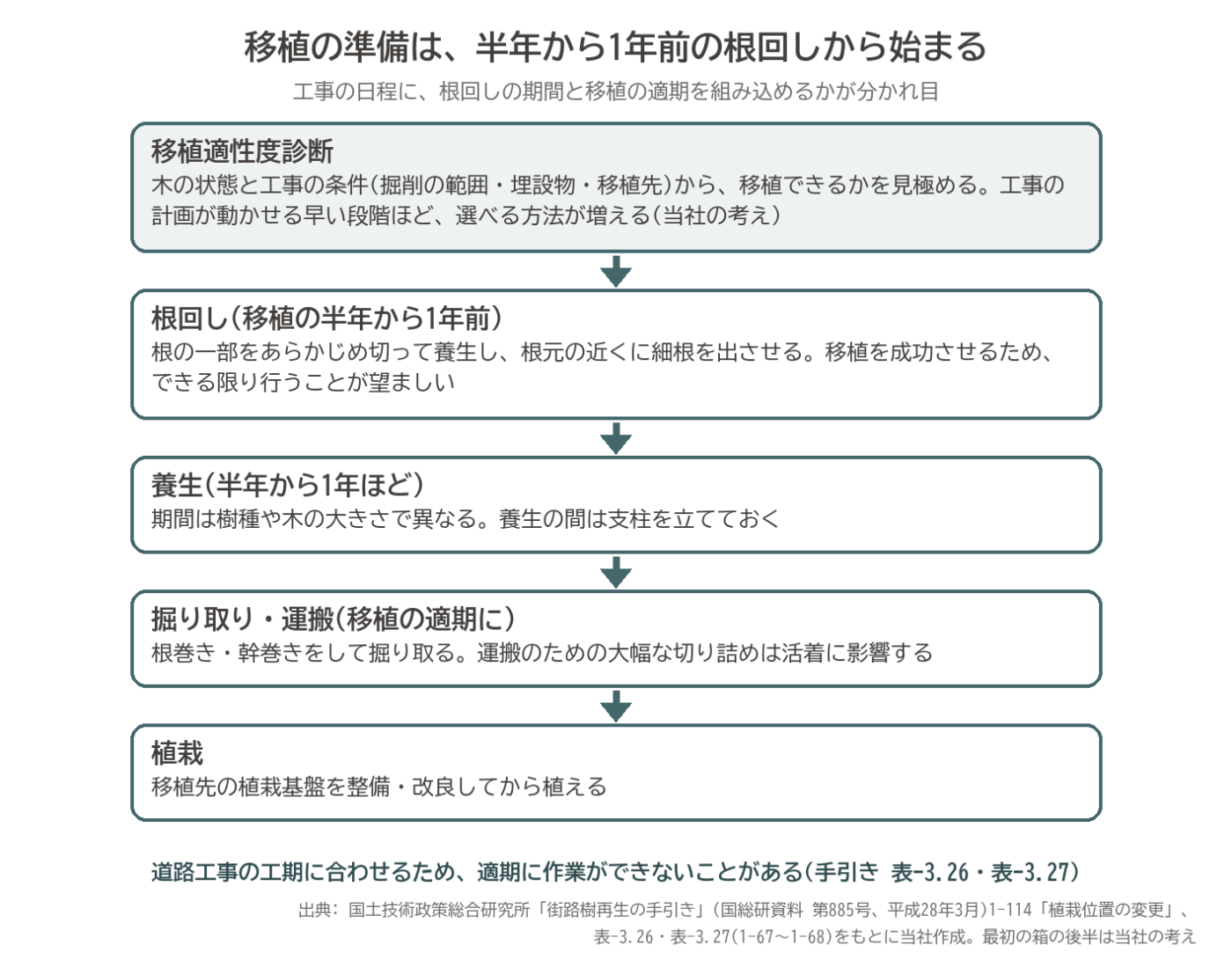移植適性度診断 根回し 養生 掘り取り 根巻き 移植 流れ 街路樹 図解