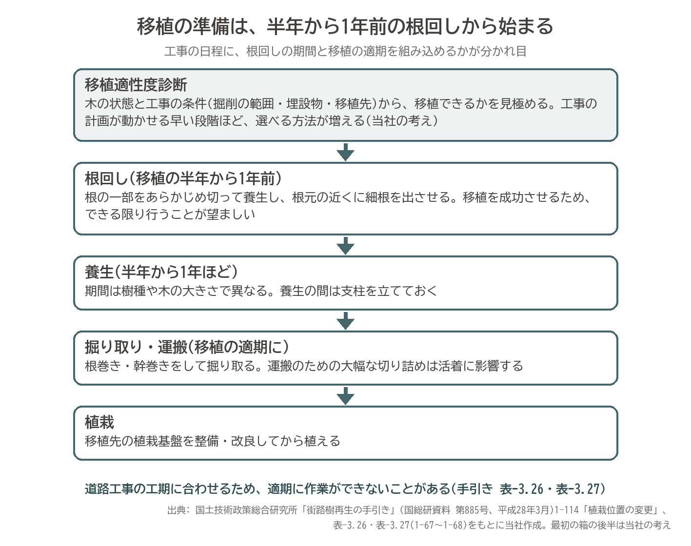 移植適性度診断 根回し 養生 掘り取り 根巻き 移植 流れ 街路樹 図解