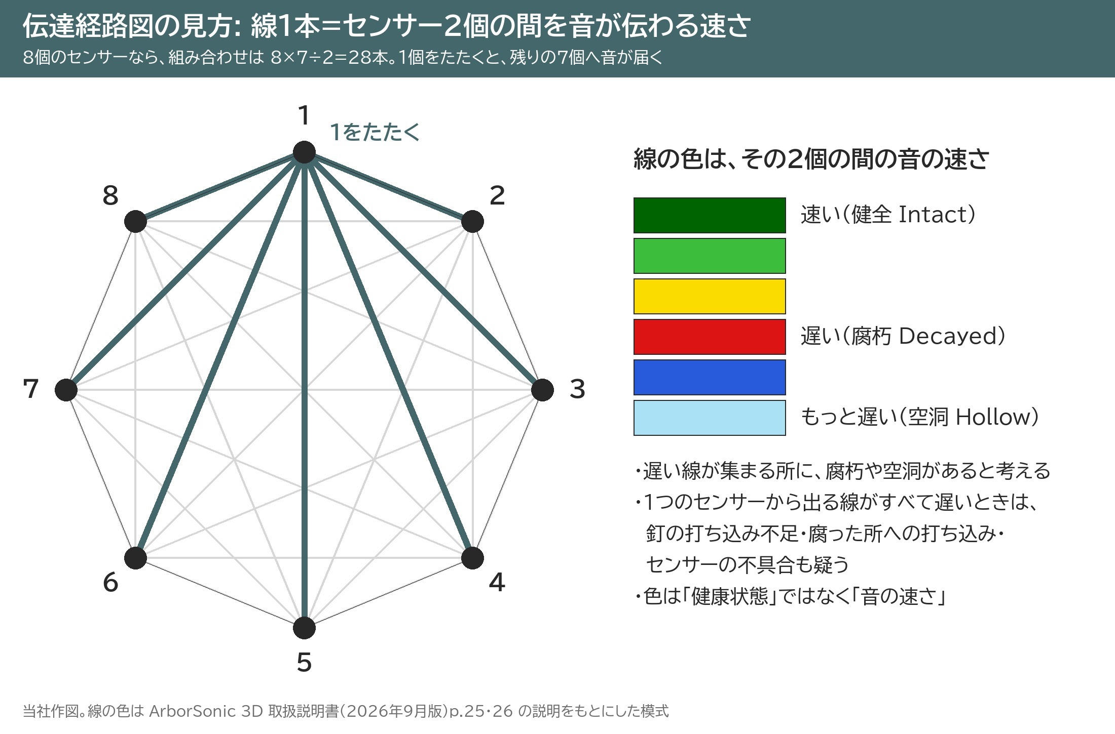 アーボソニック 伝達経路図 見方 線 センサー 組み合わせ 速さ 色