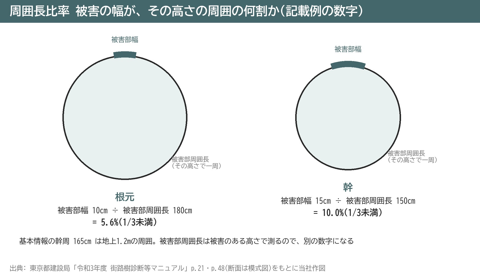 周囲長比率 求め方 被害部幅 被害部周囲長 樹皮欠損 開口空洞 街路樹診断カルテ
