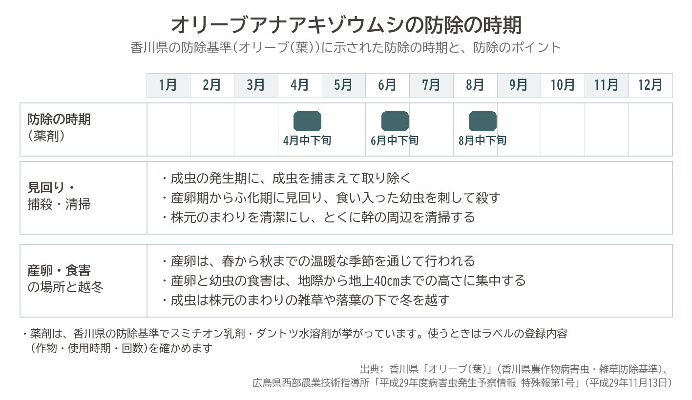 オリーブアナアキゾウムシ 防除 時期 捕殺 産卵 越冬 香川県 防除基準