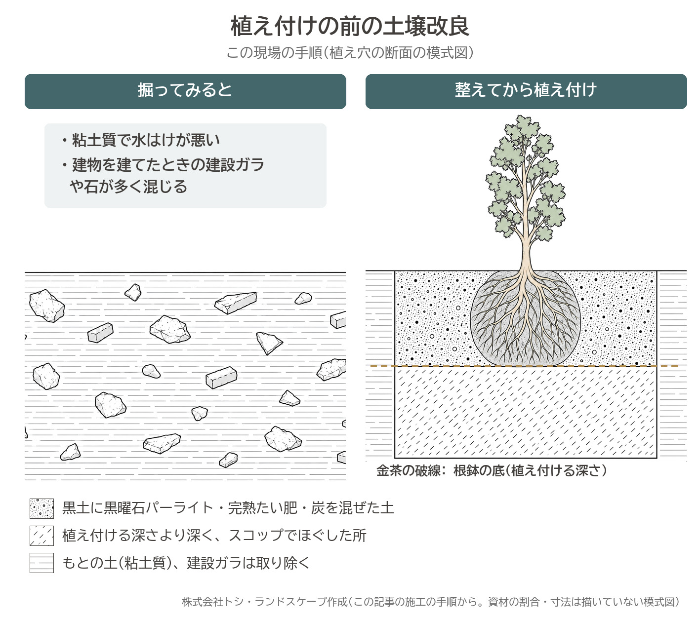 植え付けの前の土壌改良 植え穴 断面 模式図 粘土質 建設ガラ 黒土 黒曜石パーライト 完熟たい肥 炭 根鉢