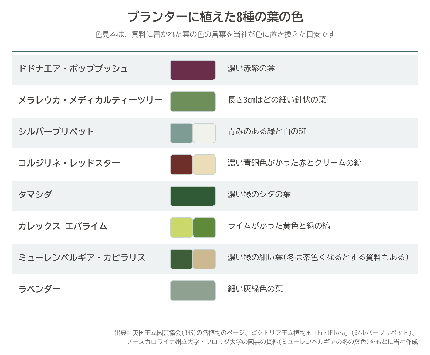 プランター植栽 葉の色 カラーリーフ ドドナエア コルジリネ カレックス 常緑 図