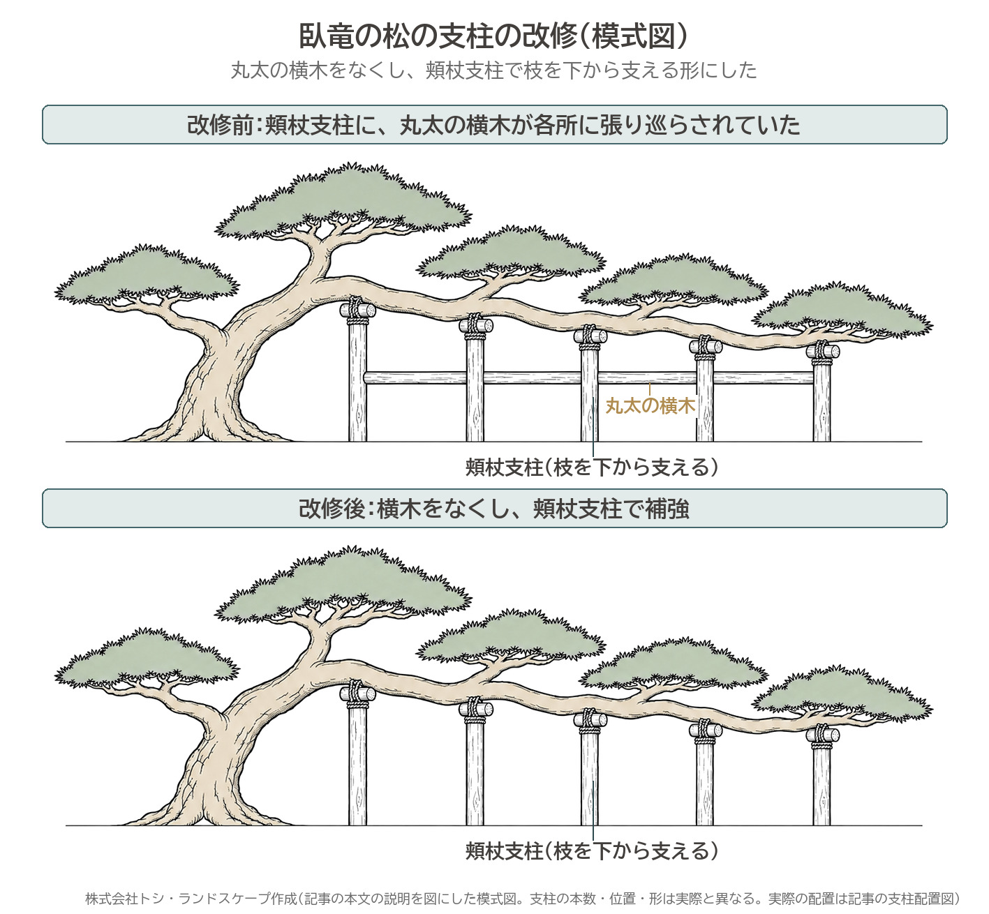 臥竜の松 支柱の改修 改修前 改修後 丸太の横木 頬杖支柱 模式図 寿昌院