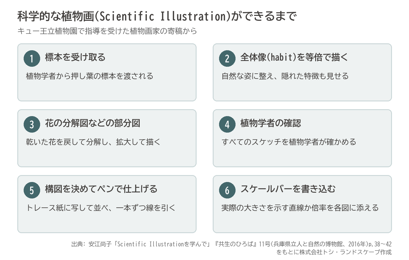 ボタニカルアート 科学的な植物画 描く手順 標本 分解図 スケールバー キュー王立植物園 図
