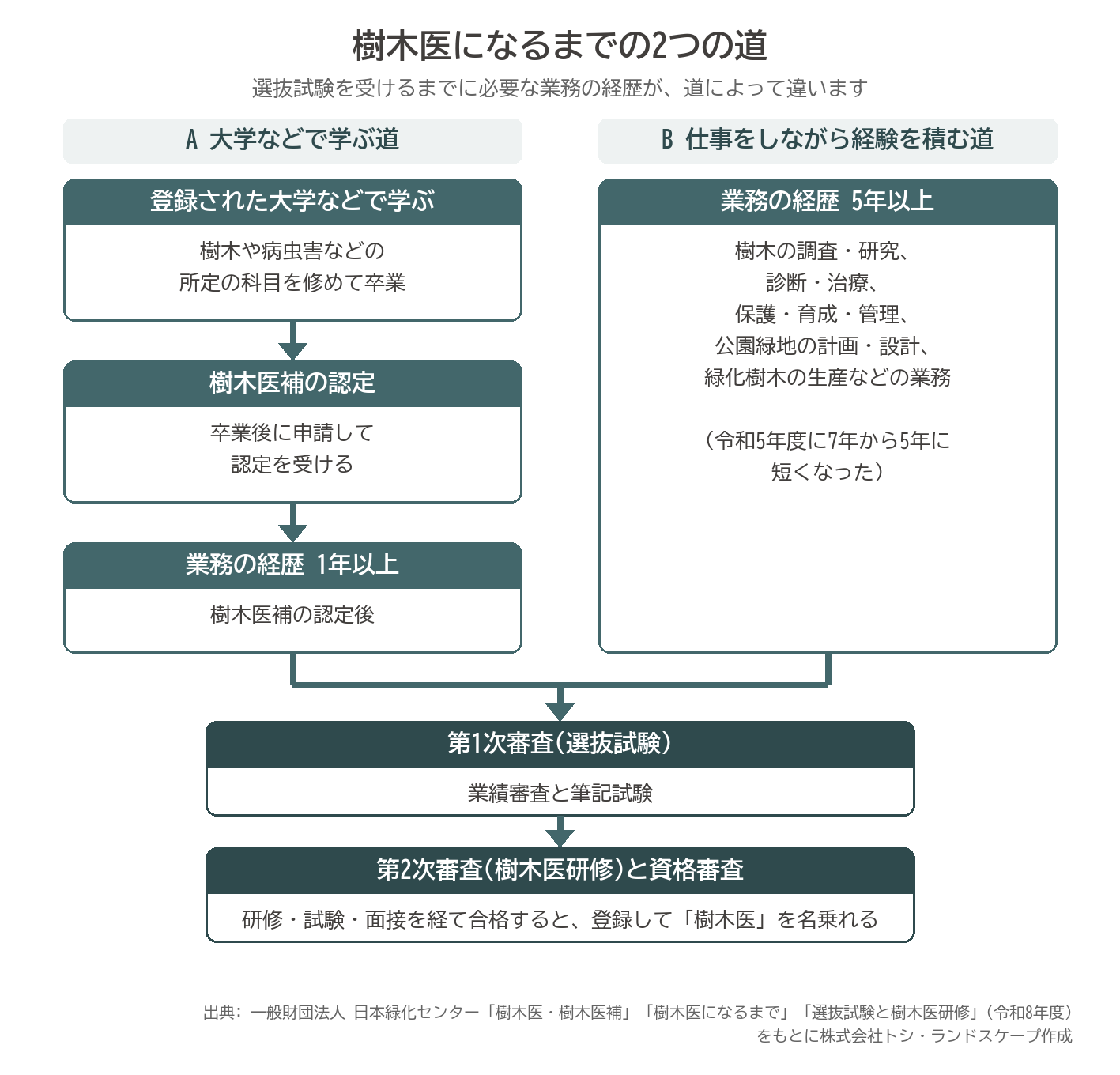樹木医 なるには 樹木医補 大学 業務経歴 5年 1年 選抜試験 樹木医研修 流れ 図