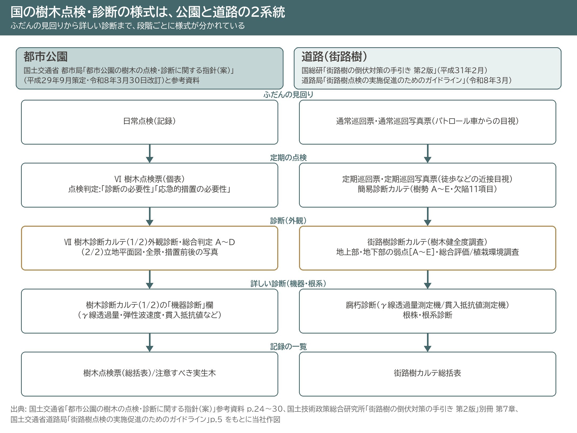 国土交通省 樹木点検 樹木診断 様式 全体像 都市公園 樹木点検票 樹木診断カルテ 国総研 街路樹カルテ 簡易診断カルテ