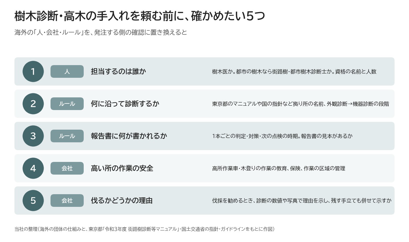 樹木診断 業者選び 確認 樹木医 報告書