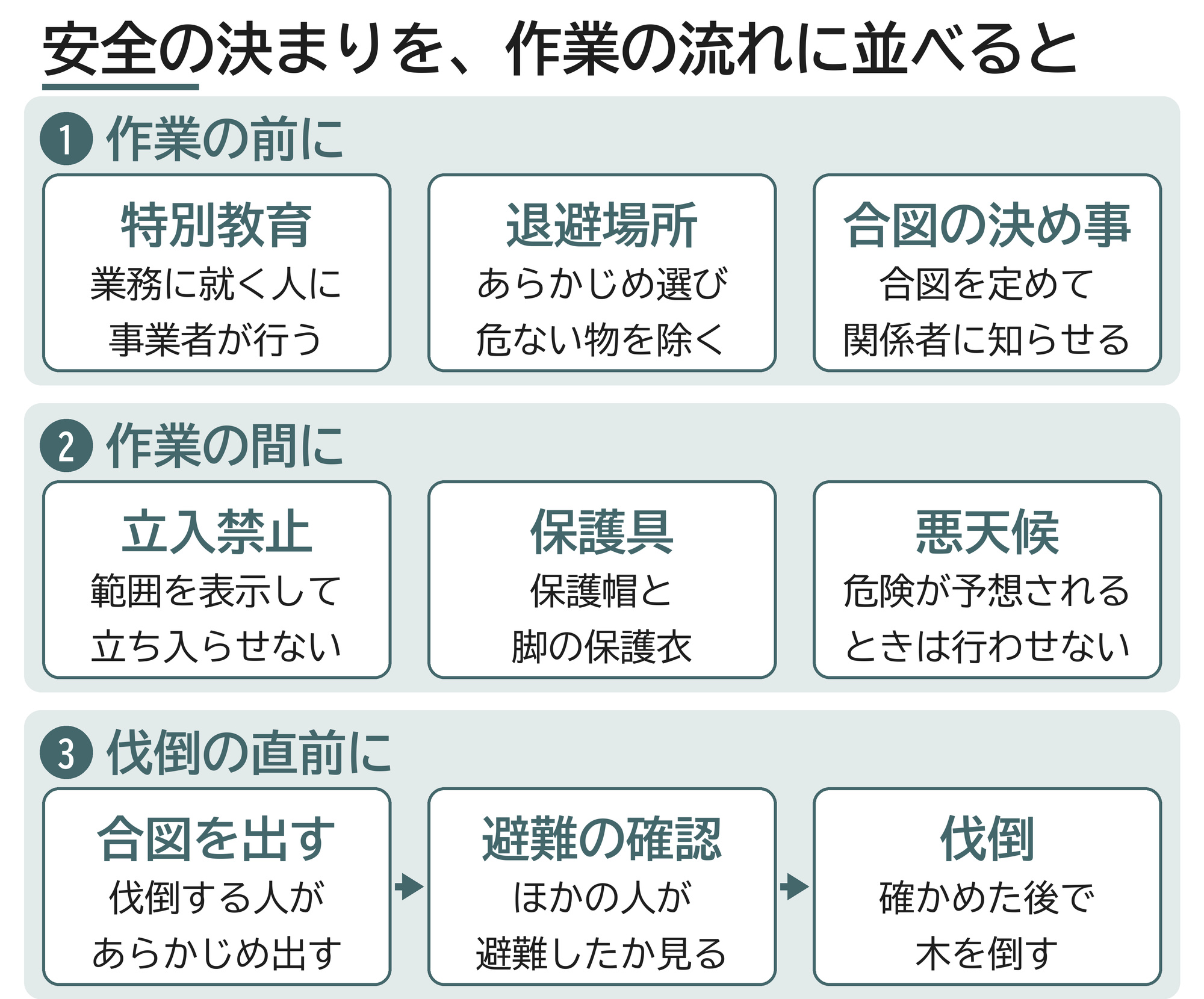 伐木作業 安全 労働安全衛生規則 作業の前 作業の間 伐倒の直前 流れ