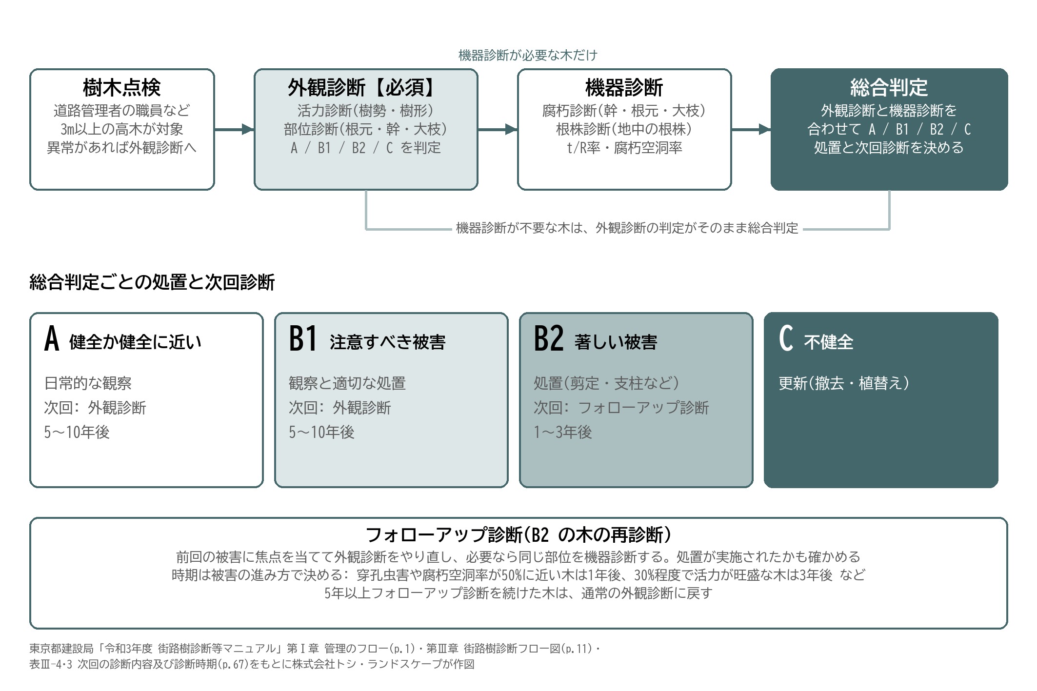 街路樹診断 流れ 樹木点検 外観診断 機器診断 総合判定 フォローアップ診断 東京都