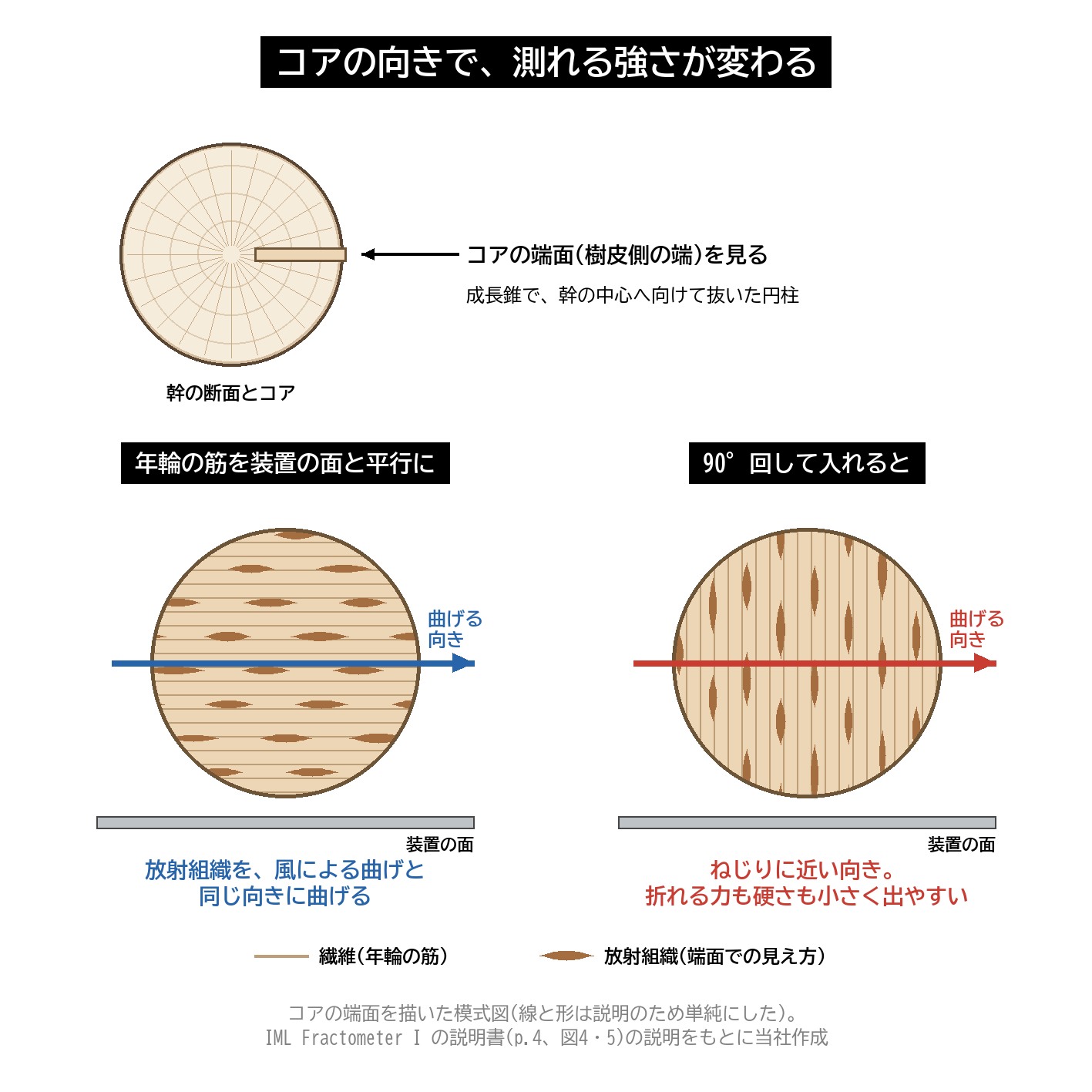 フラクトメーター コアの向き 放射組織 年輪 風による曲げ 90度 図解
