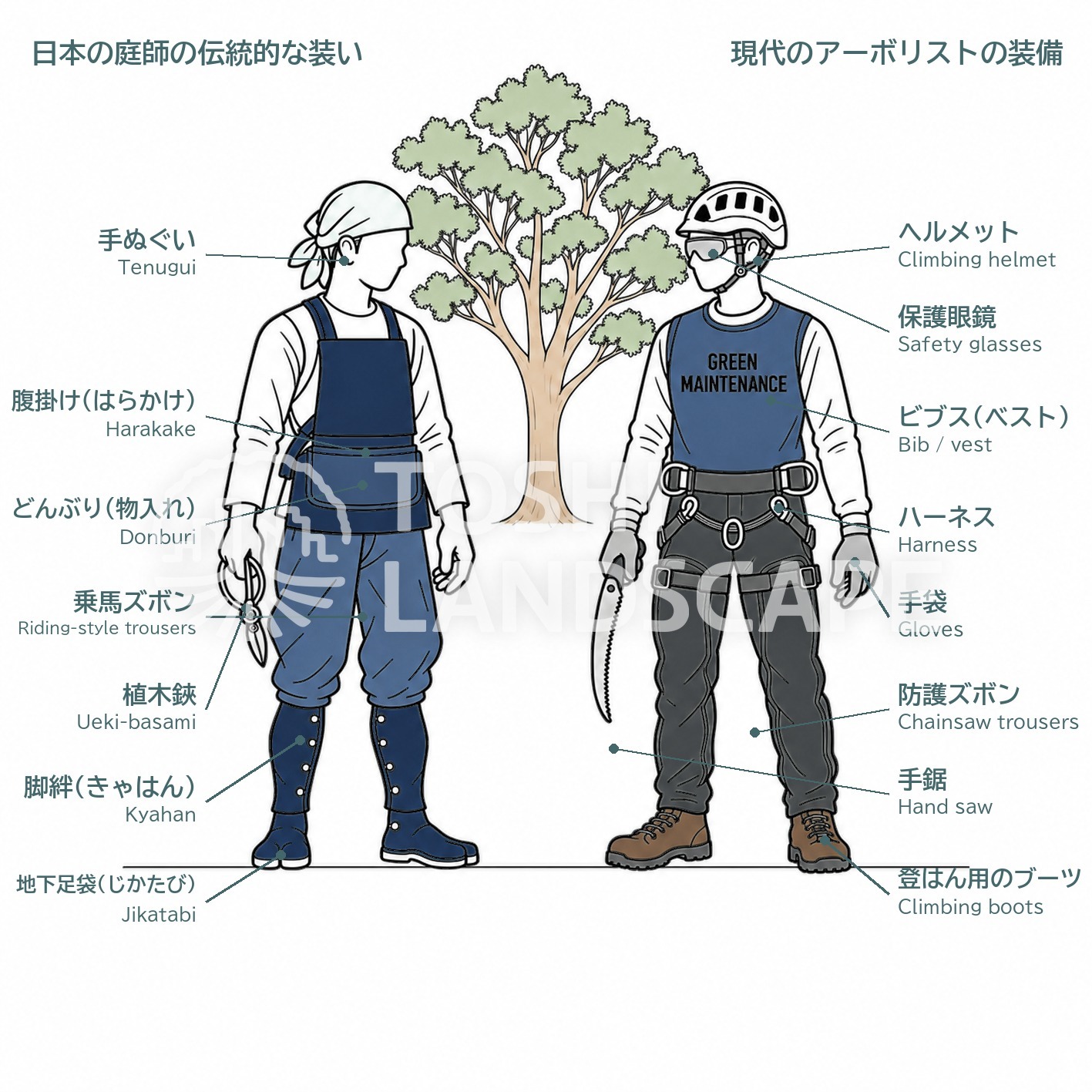 庭師 服装 腹掛け 地下足袋 アーボリスト ヘルメット ハーネス 防護ズボン 比較