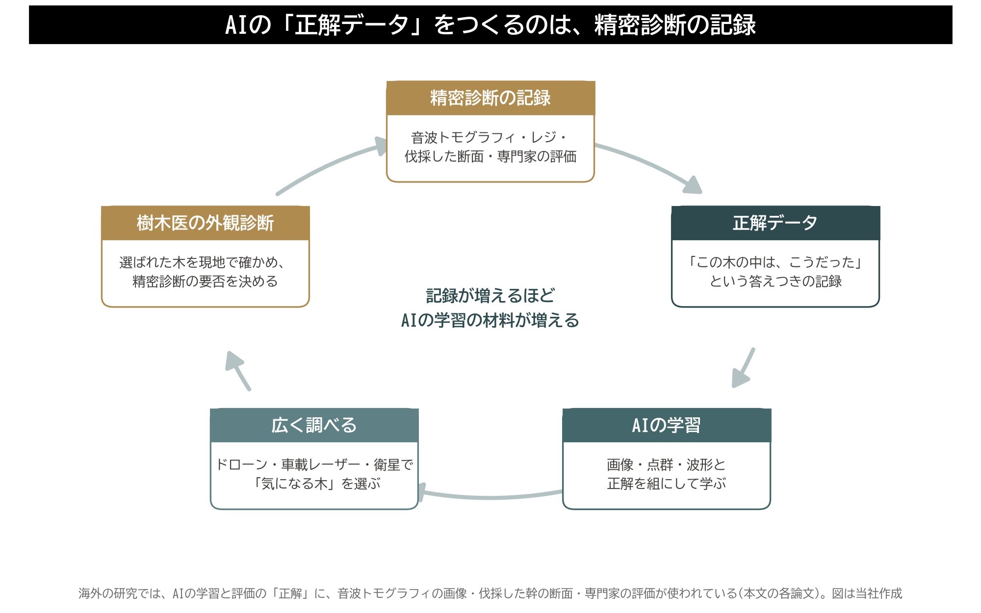 AI 正解データ 精密診断 記録 音波トモグラフィ 学習 スクリーニング 樹木医 外観診断 循環 図