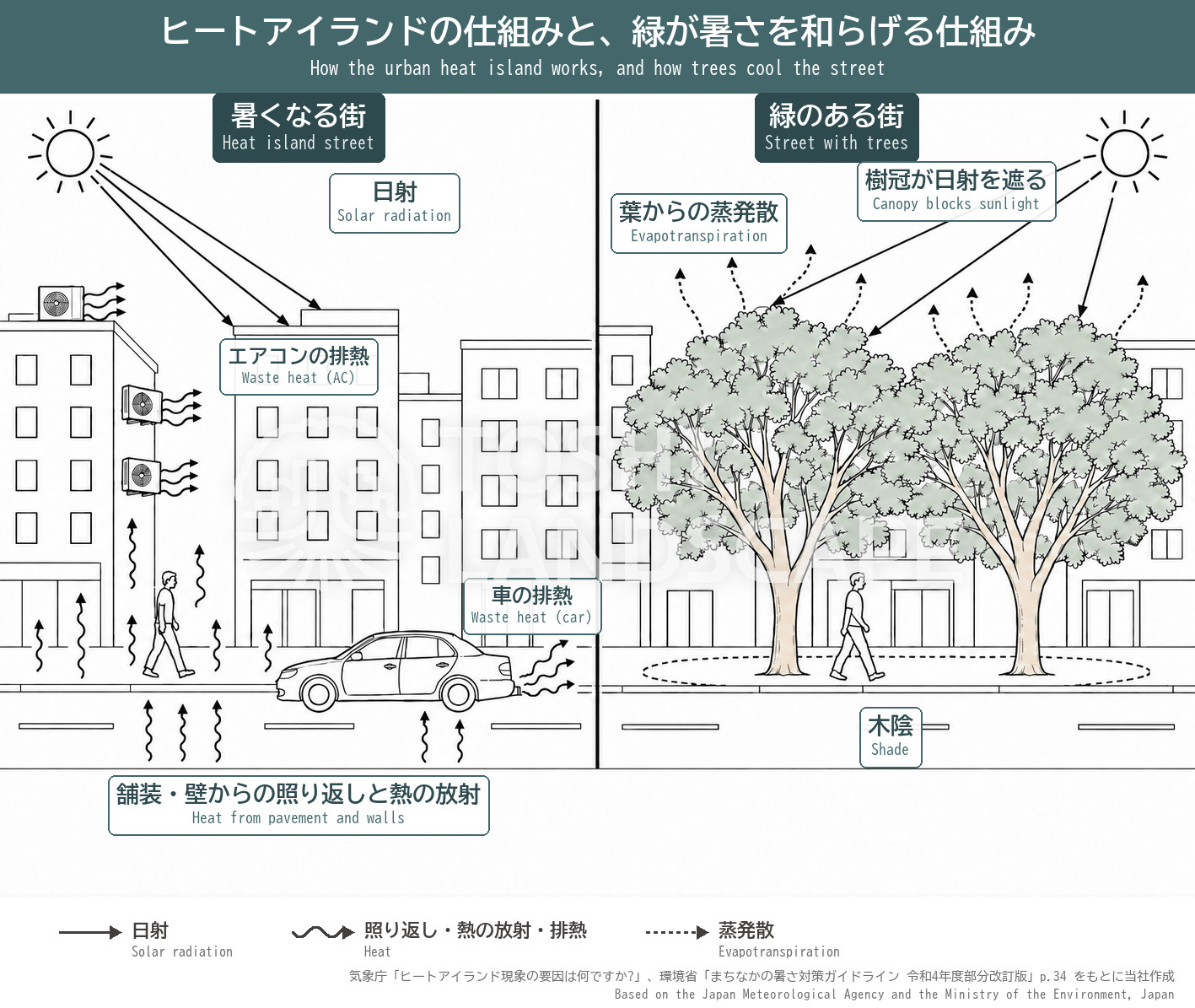 ヒートアイランド 仕組み 排熱 照り返し 樹冠 蒸発散 木陰 イラスト