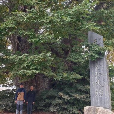 東根の大ケヤキ 特別天然記念物 石碑 樹木医 山形県東根市