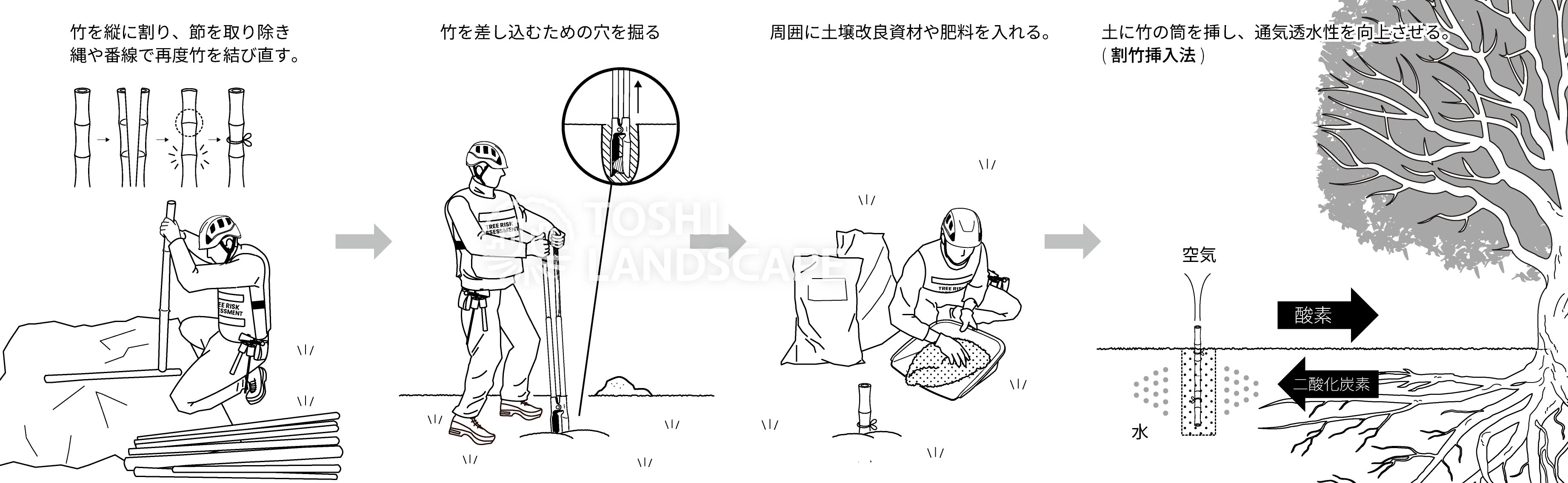 割竹挿入法 イラスト 土壌改良 樹勢回復