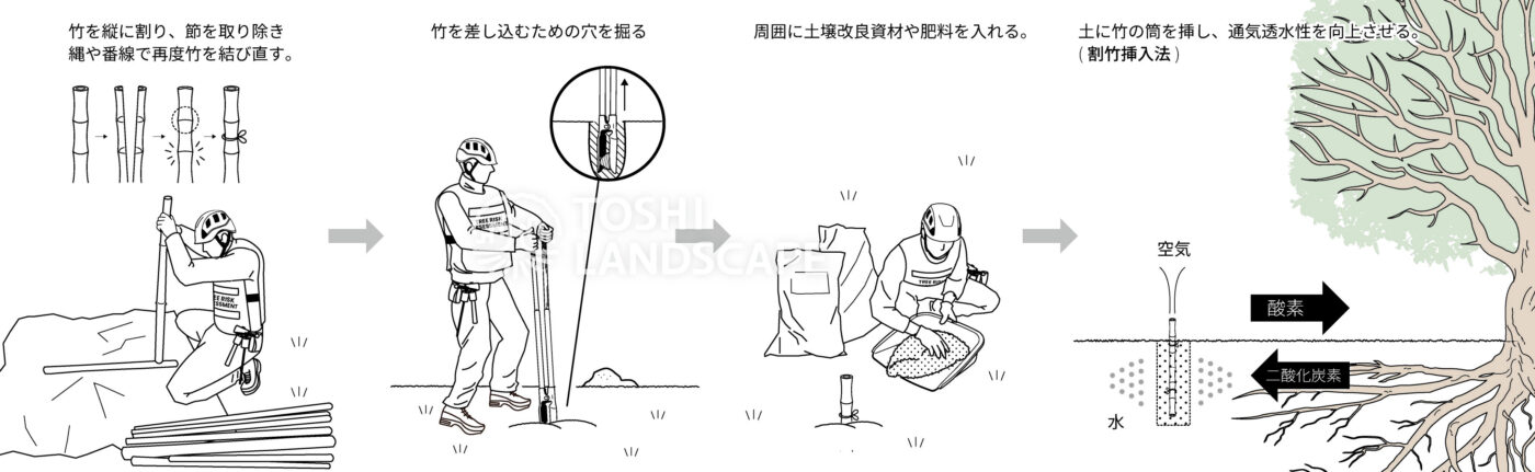 割竹挿入法 イラスト 土壌改良 樹勢回復