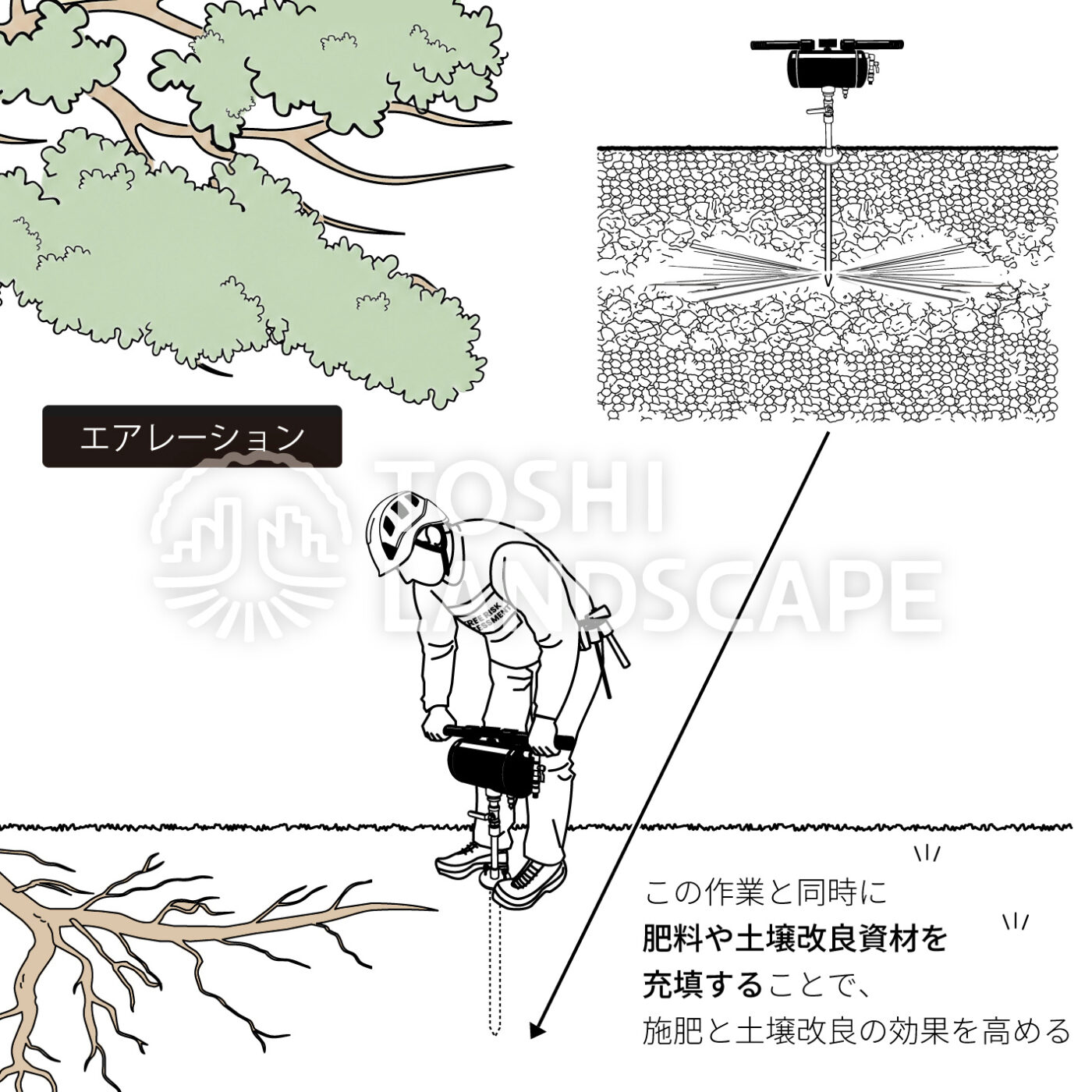 エアレーション イラスト 土壌改良 樹勢回復