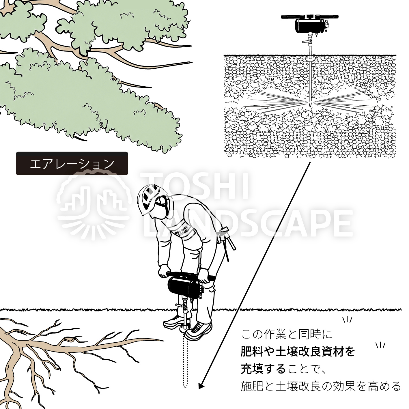 エアレーション イラスト 土壌改良 樹勢回復