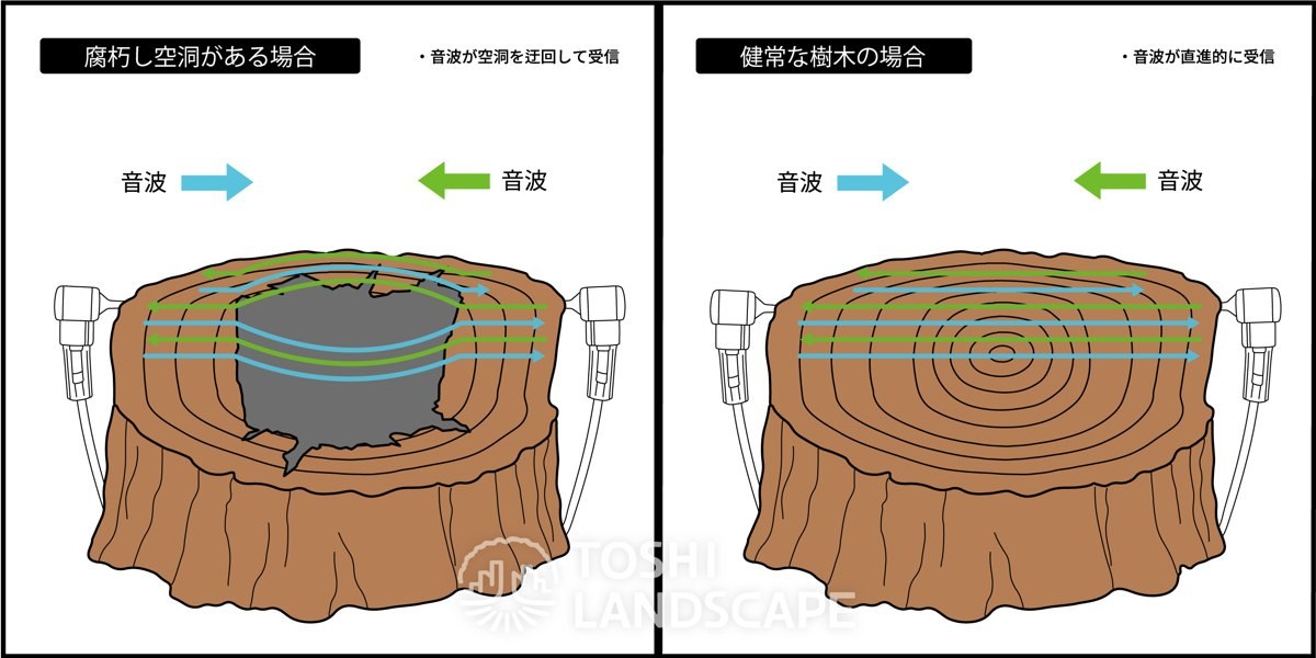 アーボソニック3Dの原理