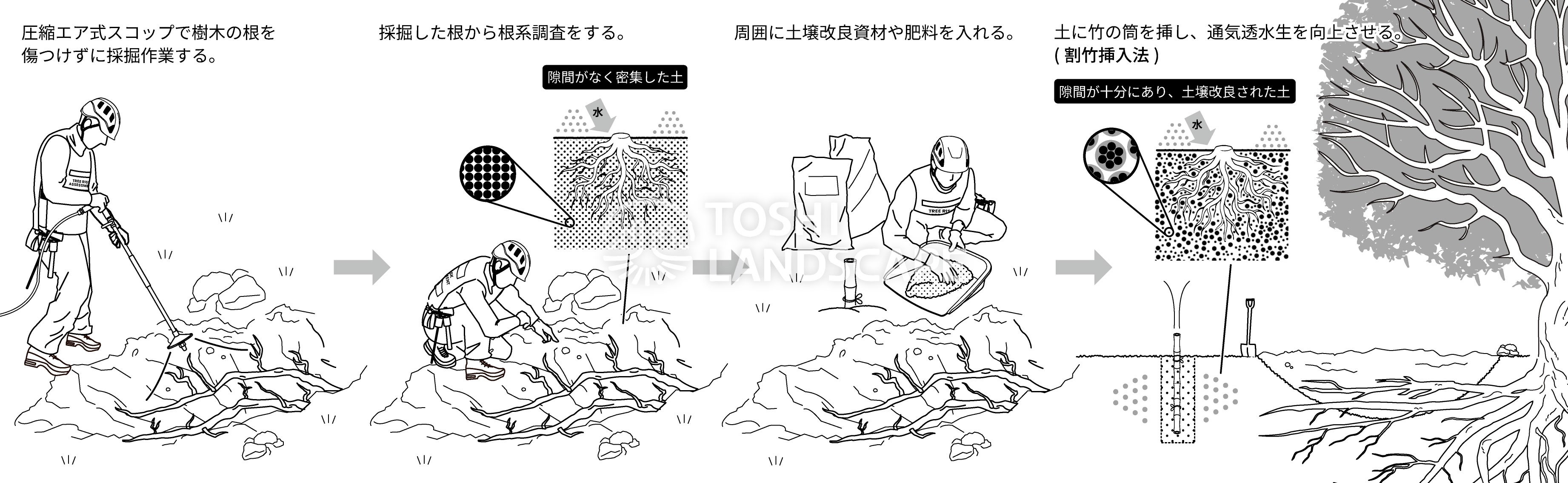 圧縮エア式スコップ イラスト 土壌改良 根系