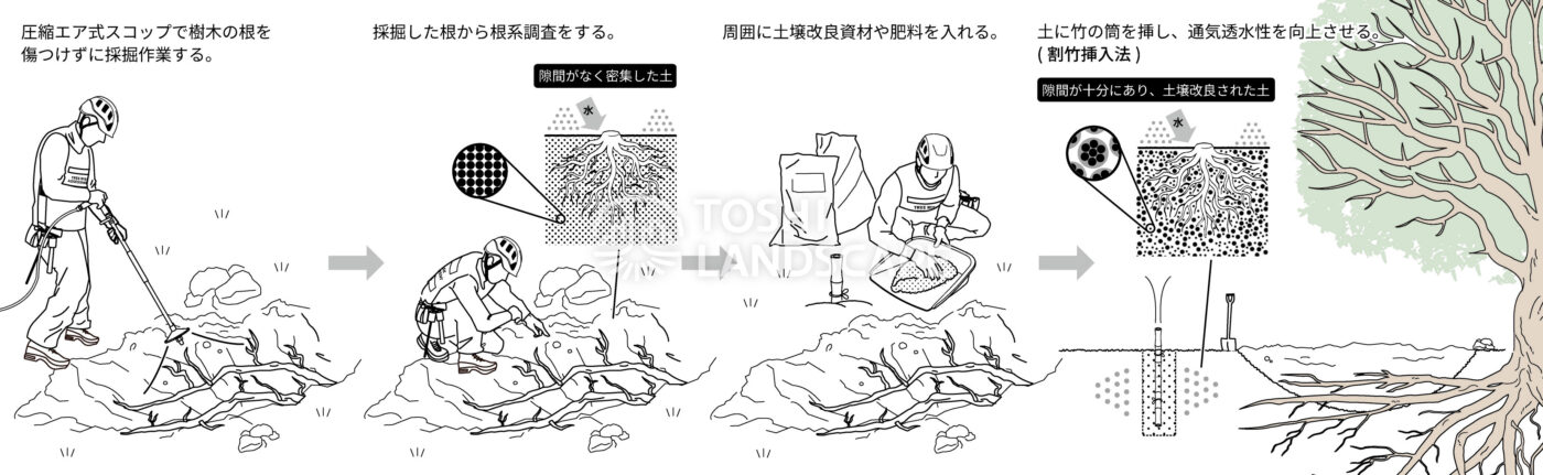 圧縮エア式スコップ 土壌改良 根系調査 割竹挿入法 イラスト