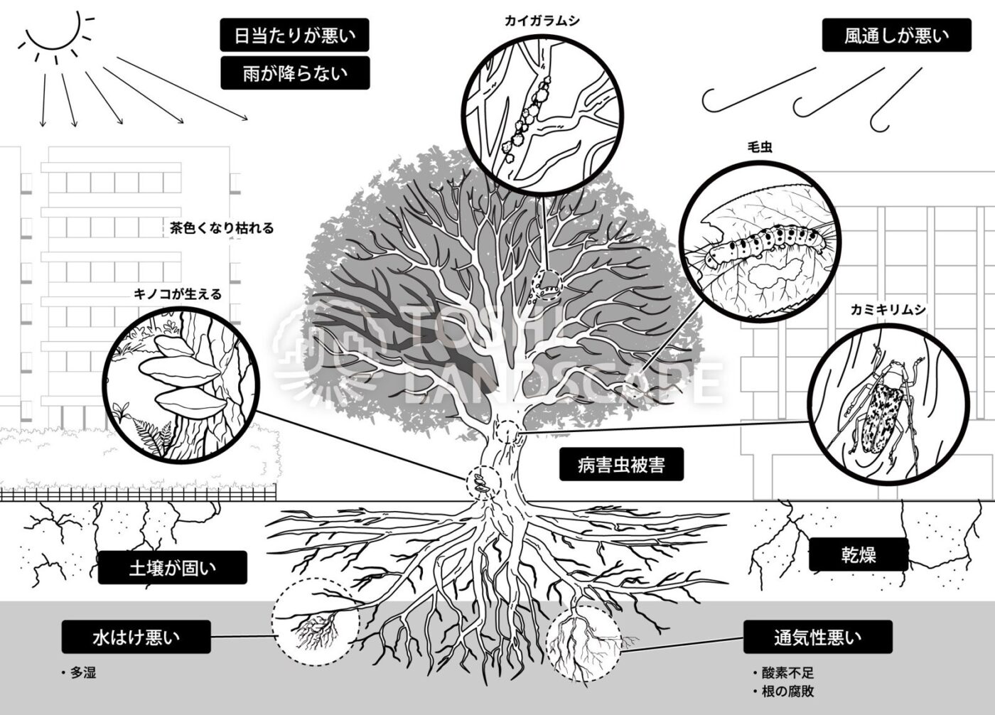 植物を育てる条件 イラスト 土壌の硬さ 水はけ 通気性