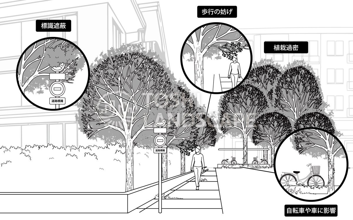 成長した樹木が標識を隠し、歩行を妨げ、植栽が過密になっている様子