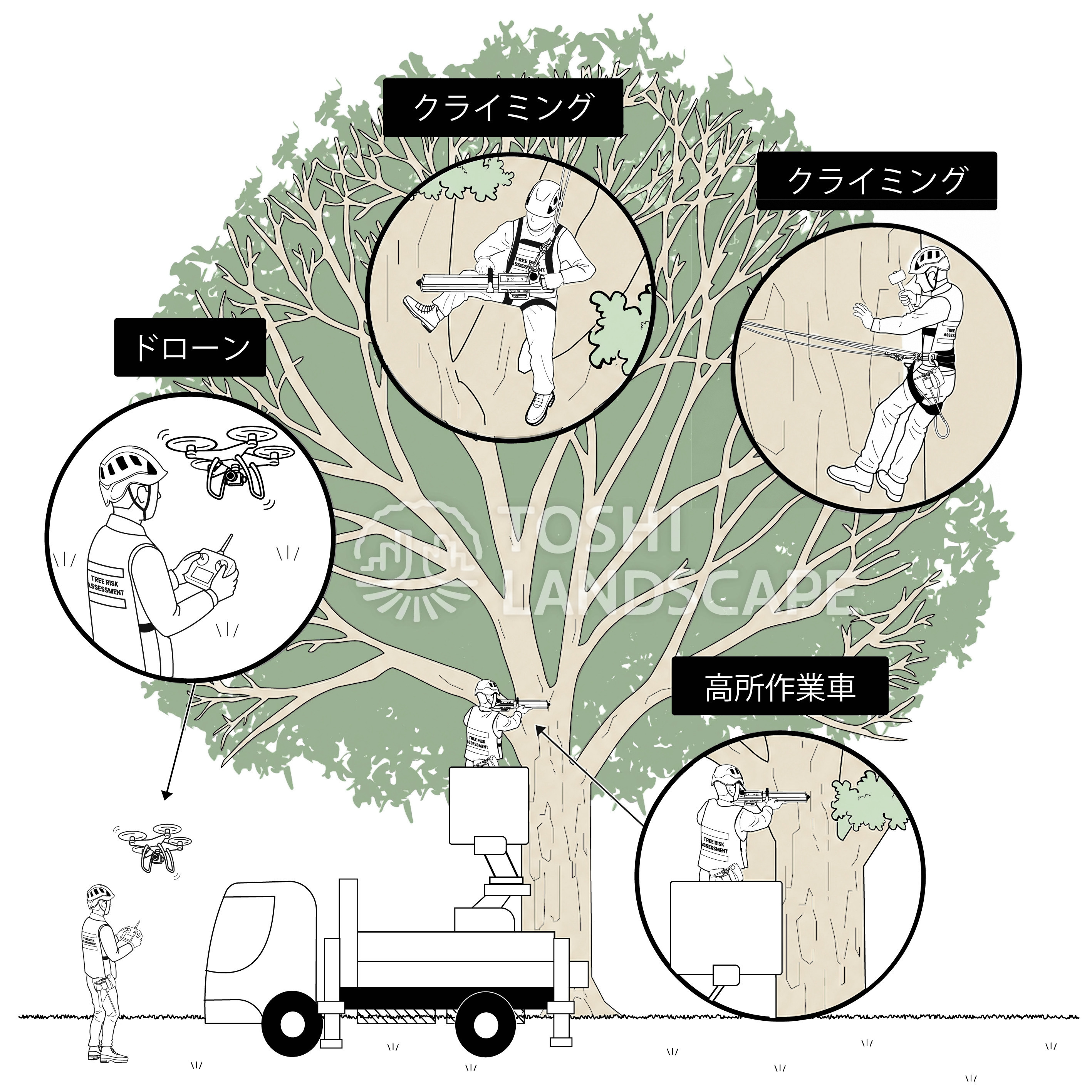 高所 樹木診断 クライミング 高所作業車 ドローン 樹木医 イラスト