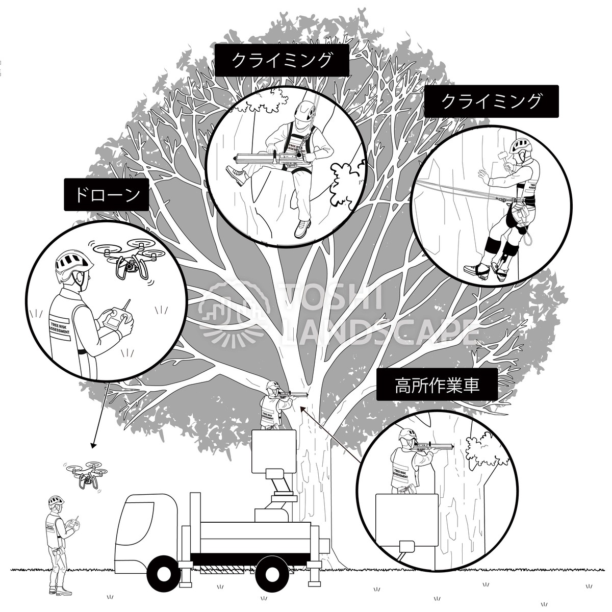 クライミングや高所作業車、ドローンを使った高所の樹木診断