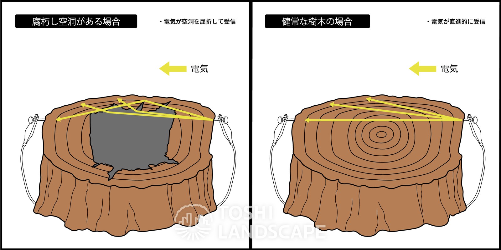 ピカス トロニックの原理