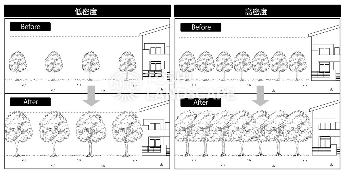 低密度と高密度の植栽の比較