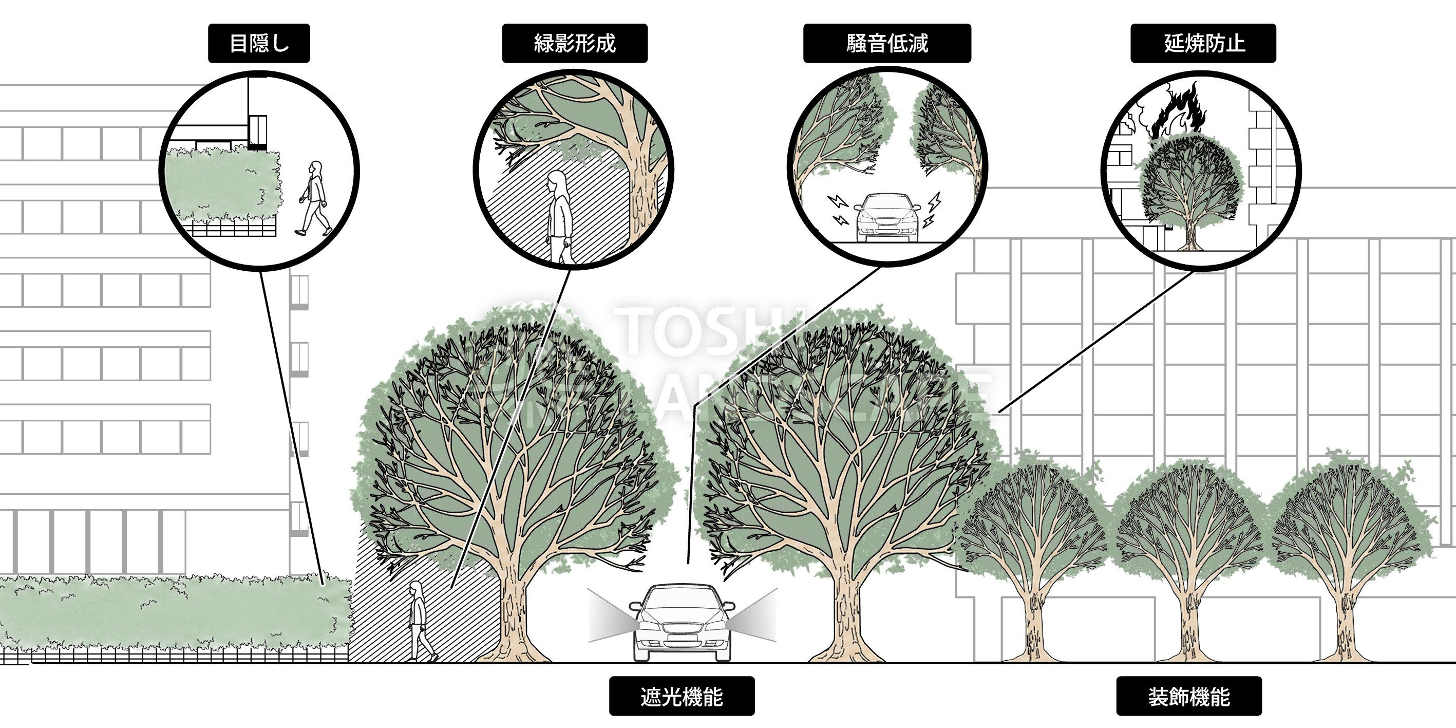 植栽の機能 目隠し 緑陰 騒音低減 延焼防止 遮光 装飾 イラスト