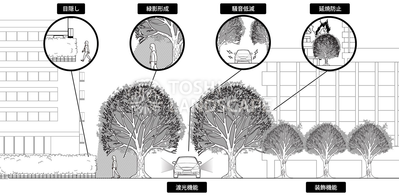 植栽の機能